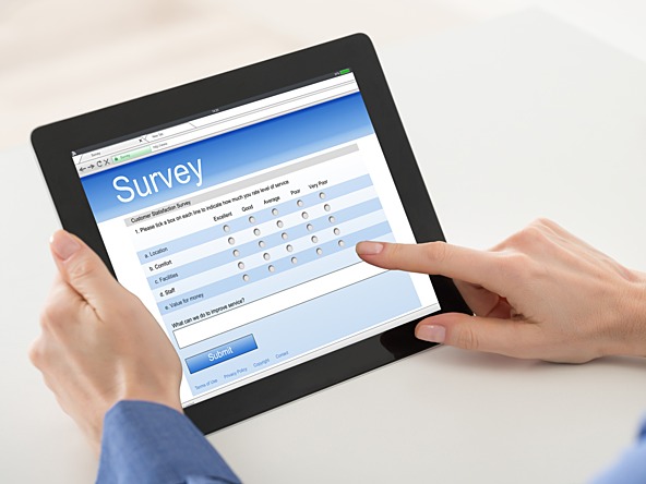 Online Surveys